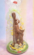 Load image into Gallery viewer, Bucky  Bunny
