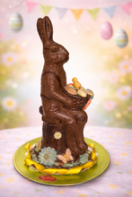 Load image into Gallery viewer, Bucky  Bunny
