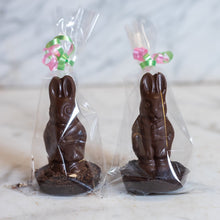 Load image into Gallery viewer, Mini Bunny (2pk)
